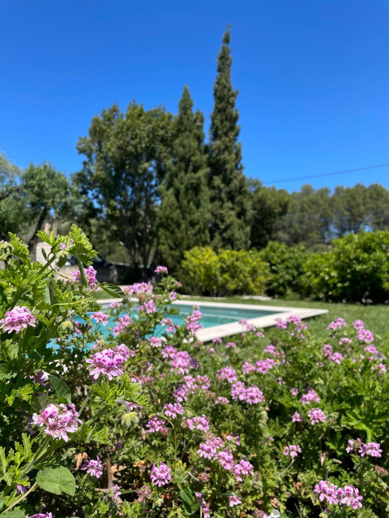 Casa vacanze Dameto
